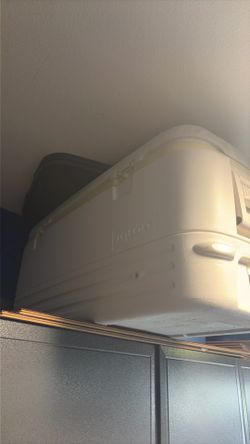 Igloo Cooler