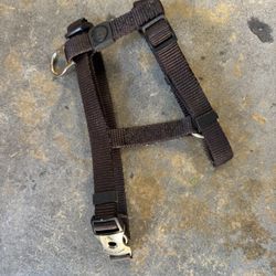 Dog Harness 