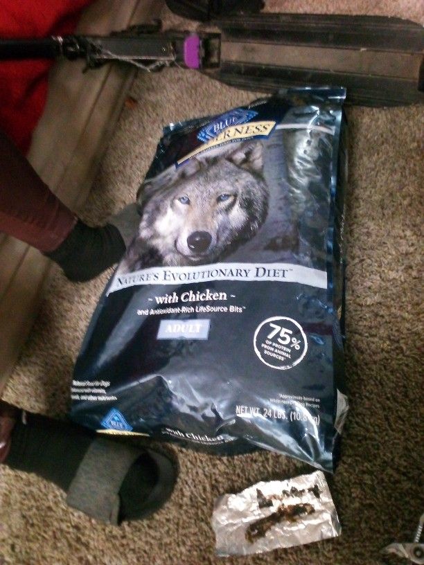 Blue Buffalo Dog Food