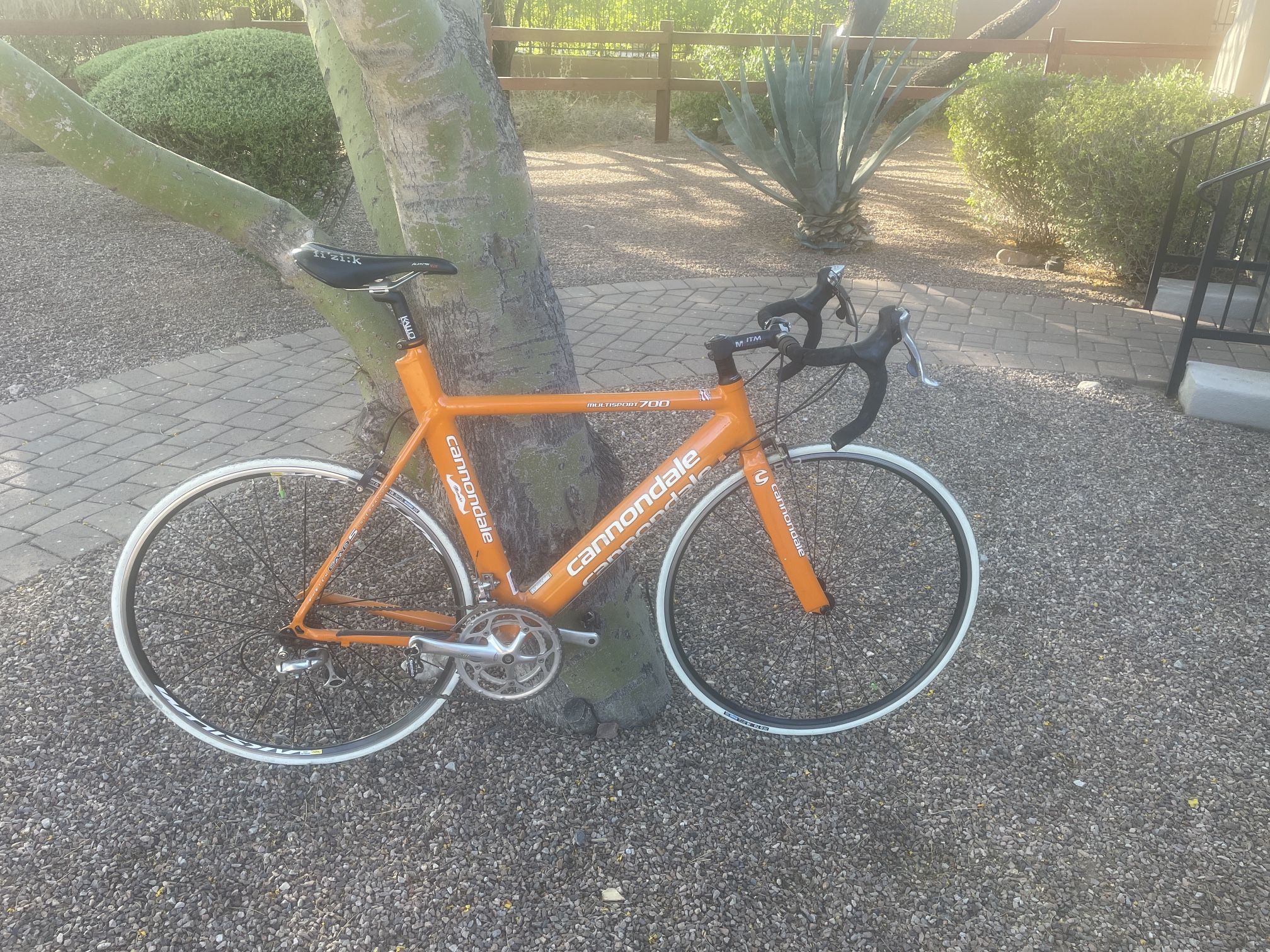 Cannondale Multisport 700 - L-XL Frame