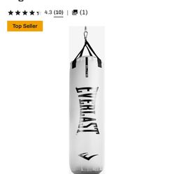 Everlast Punching Bag 