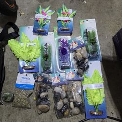 Fish Tank Plants