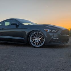 2015 Mustang GT Premium PP 6MT