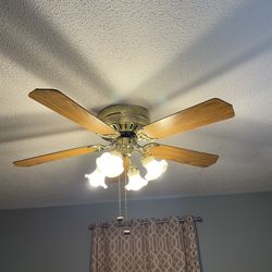 Ceiling Fan with Lights 