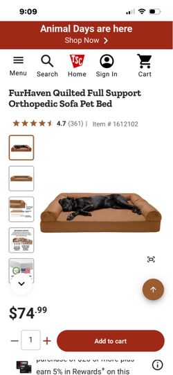 Orthopedic Dog Bed