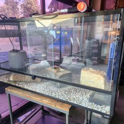 Terrarium w/ HEATER & ACCESSORIES!