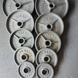Standard Olympic Plates. 2 45s 2 35s 2 25s 2 10s 2 5s