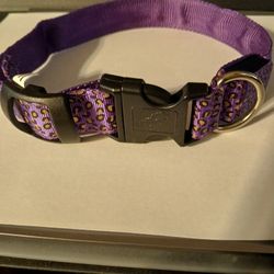 Dog  Collarbrand