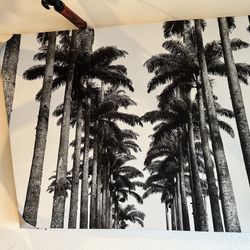 Palm Tree Canvas