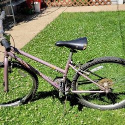 Girls Bike