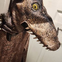 Jurrasic World Costume 