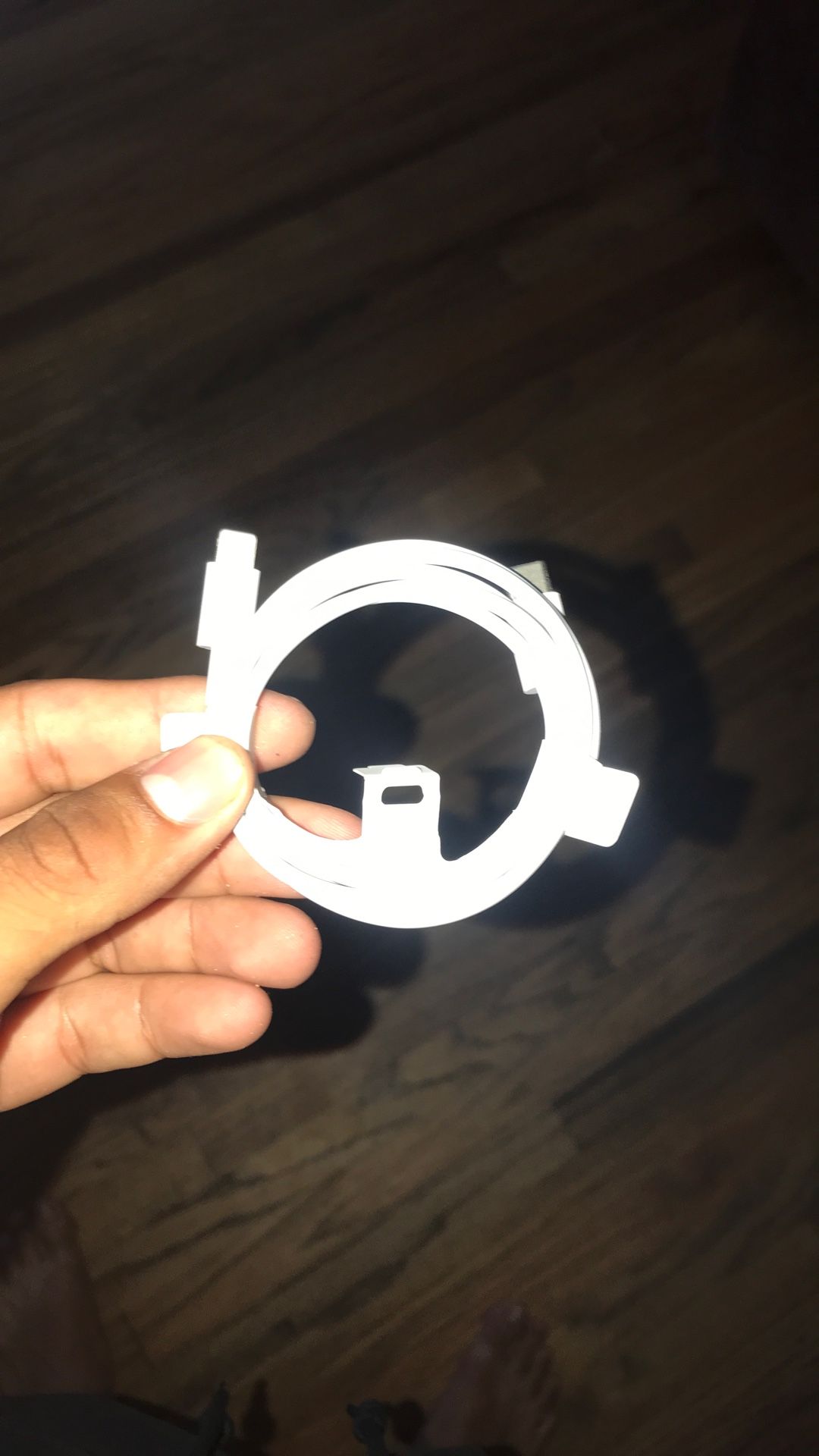 Brand New Fast Lightning Charger