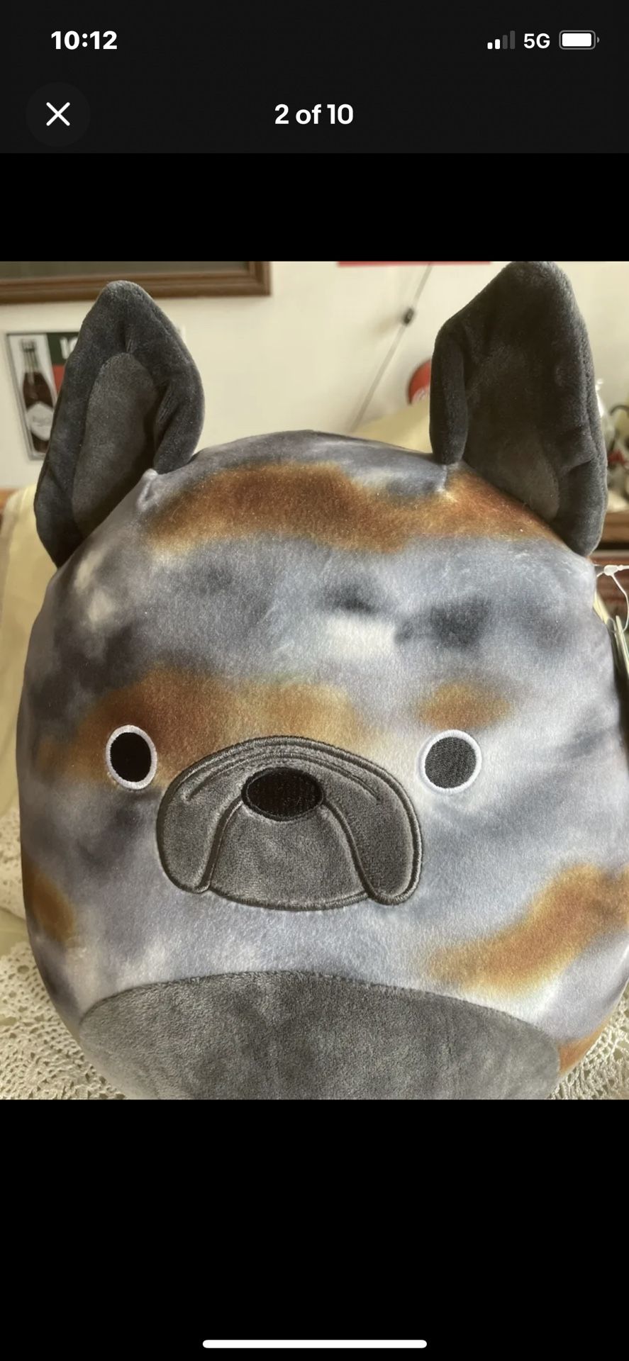 SquishMallow * Ballis* French Bull Dog* New