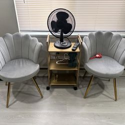 Gray Shell Chairs
