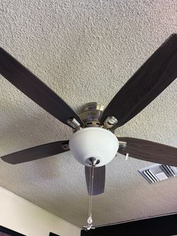 Hunter fan