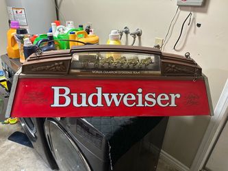 Budweiser light