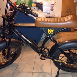 20 MPH Cycrown Ebike 