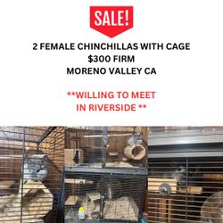 Chinchilla Cage