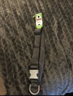 Dog collar