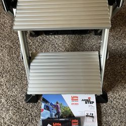 Little Giant Step Stool