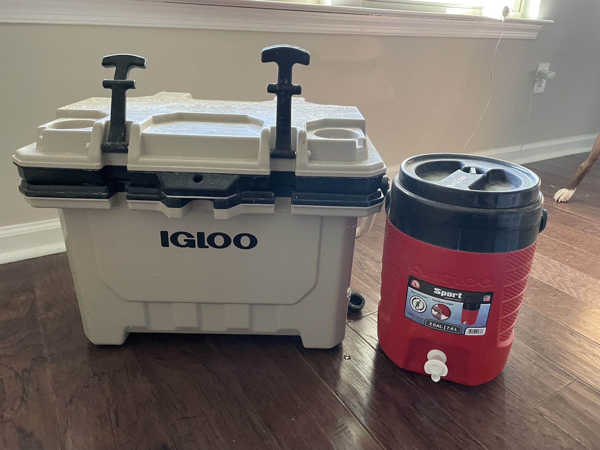 Igloo Cooler And Jug 