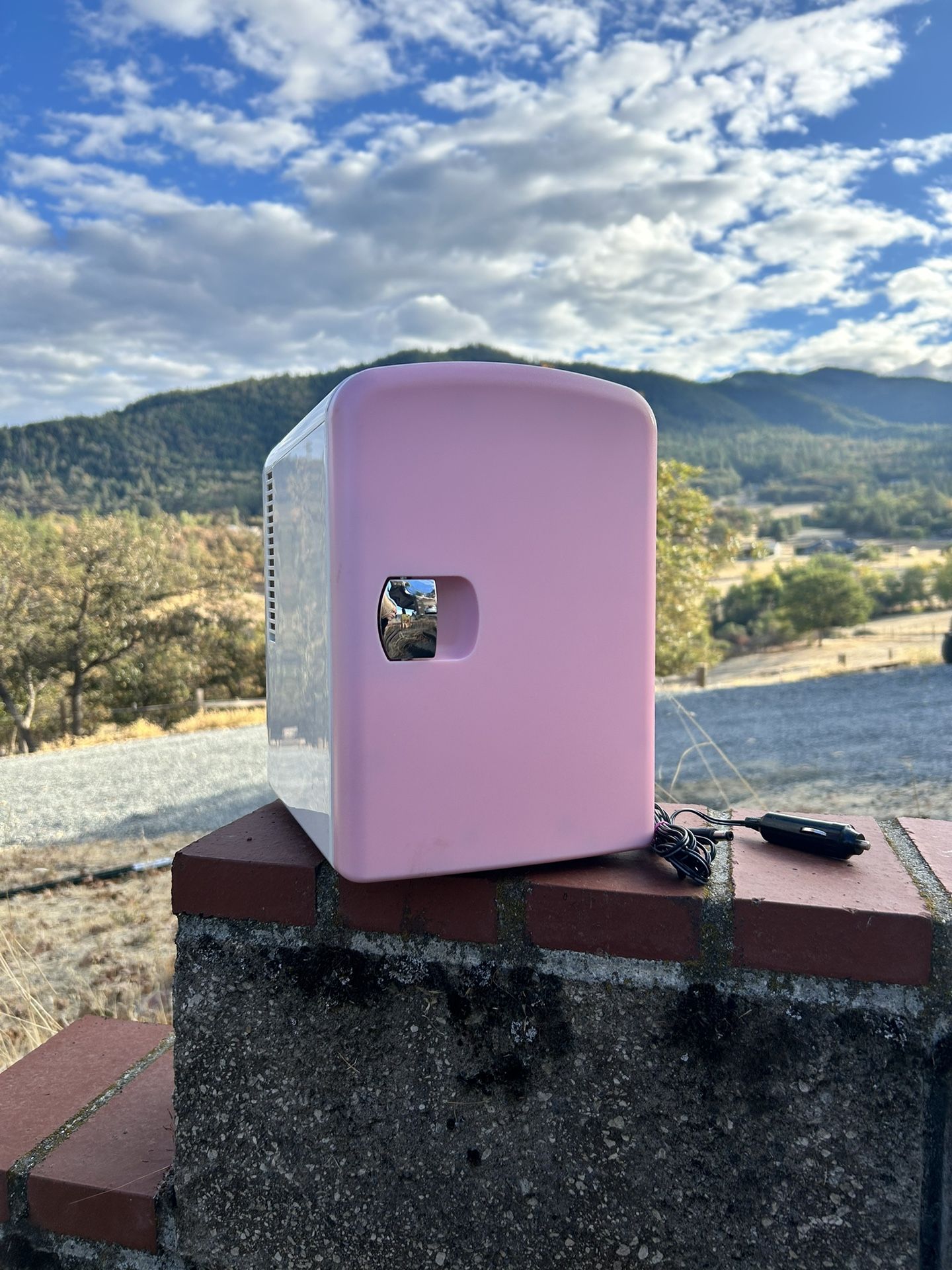 Car Mini Fridge