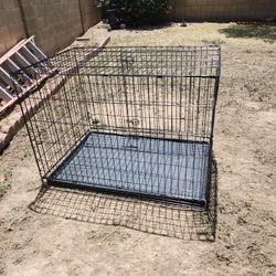Dog Cage 