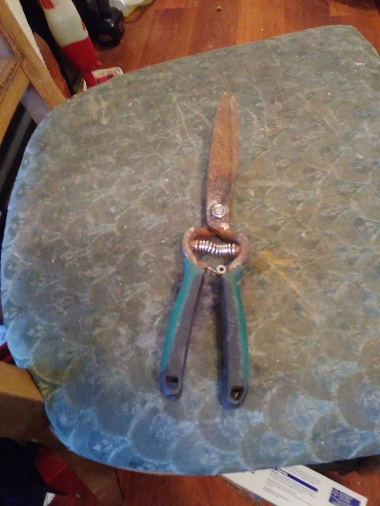 Garden Shears