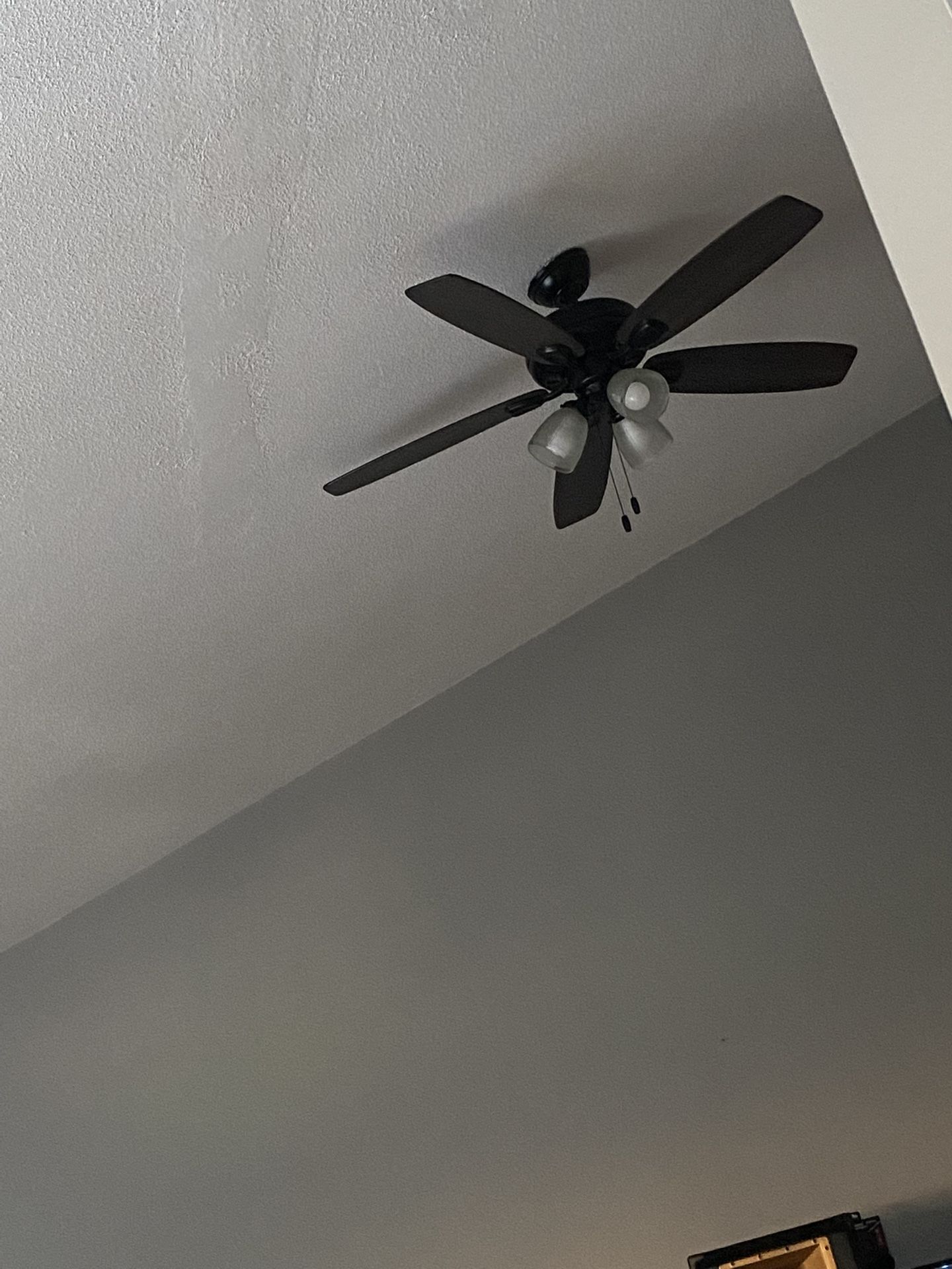 Veils Fan For Sale