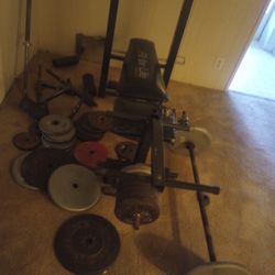 Weight Bench And Tons Of Weights