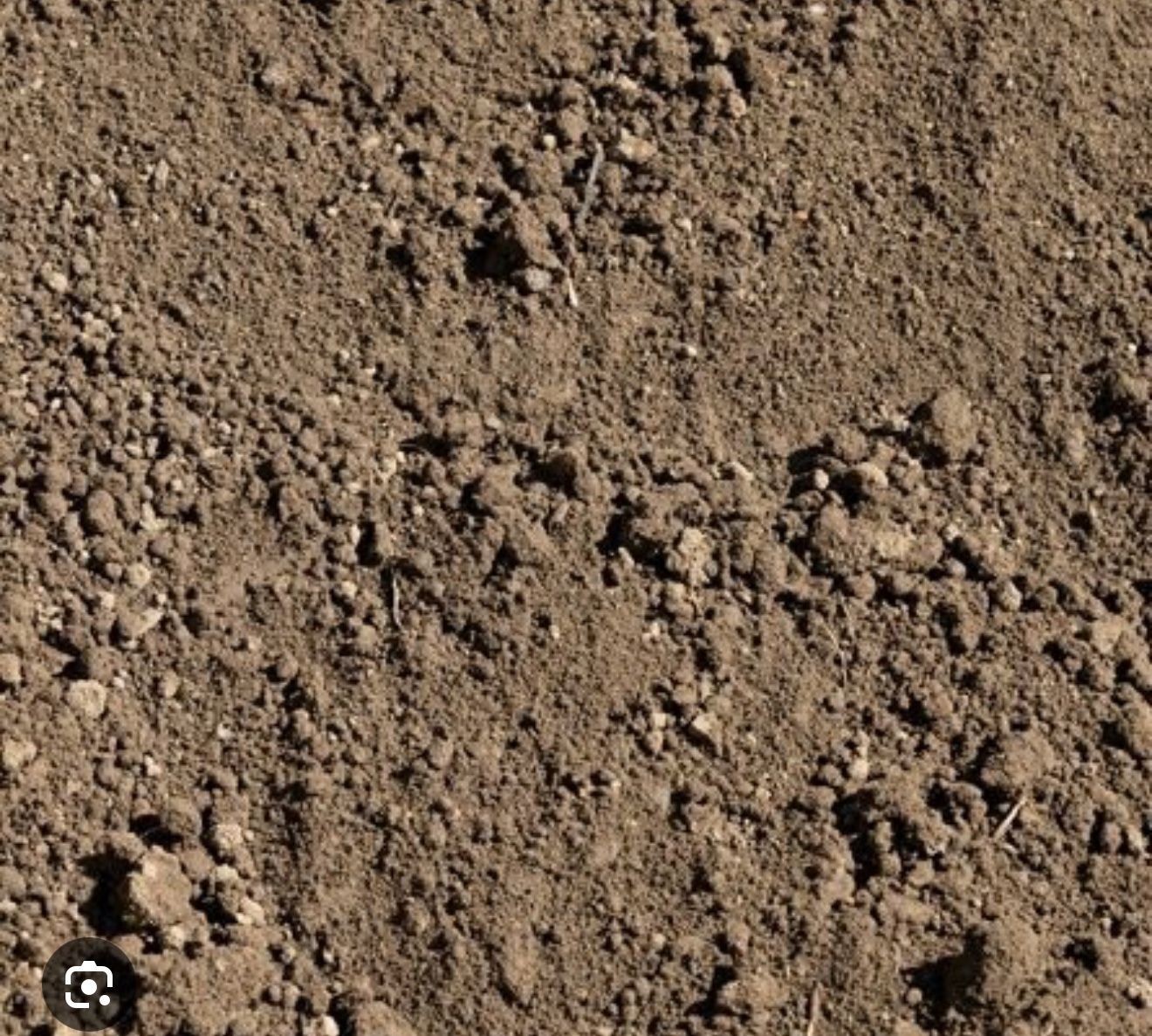 Wanted Free Clean Dirt