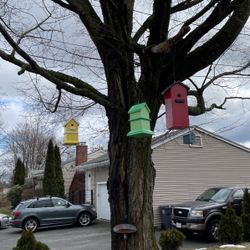 Bird Houses