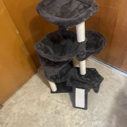 U Gonna Make Ur Cat Happy 😊