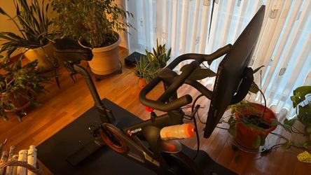 Peloton Indoor Cycling Bike - Great Shape