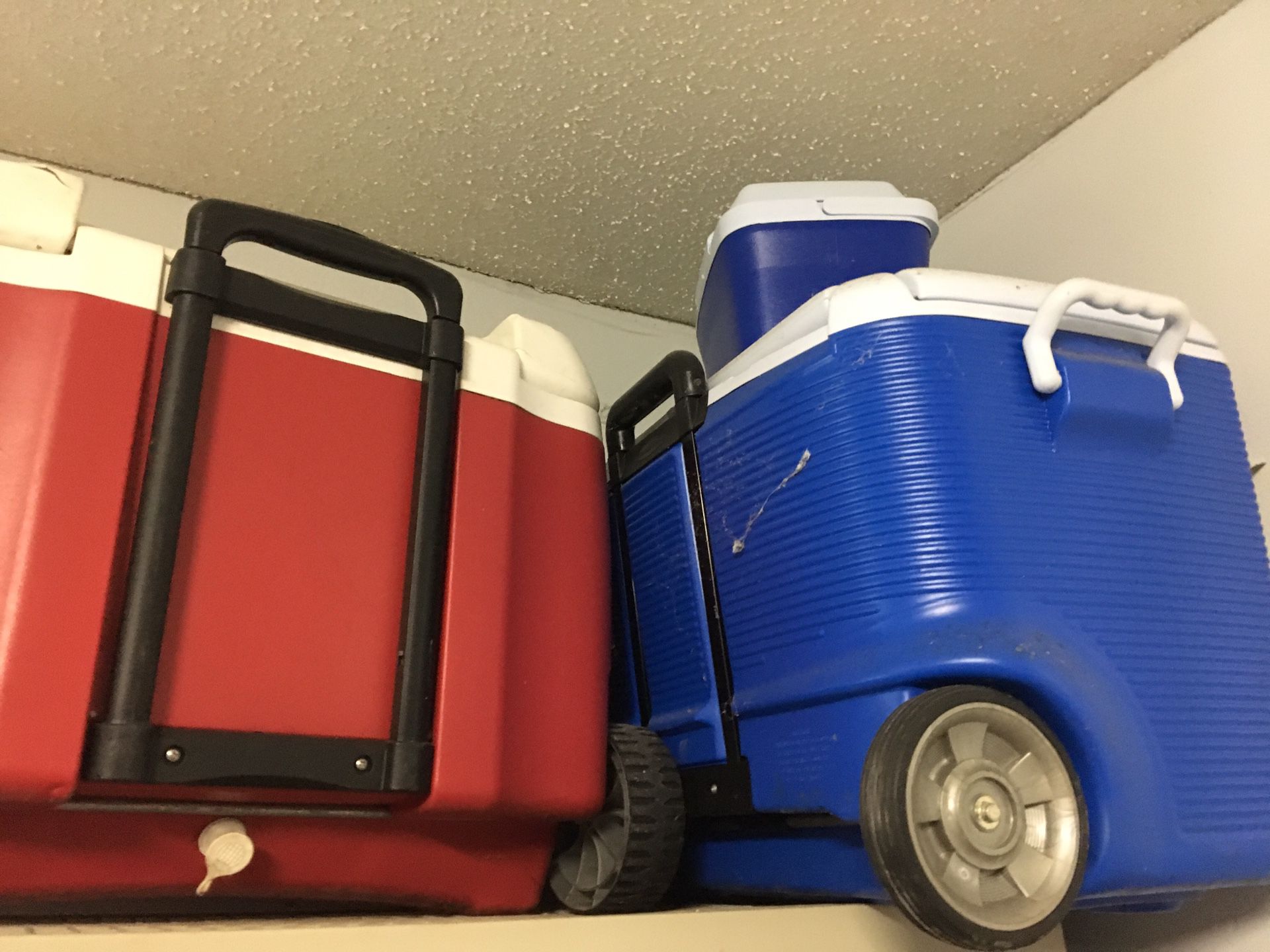 Various coolers for sale