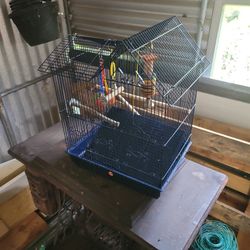 Bird Cage