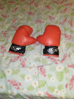 Boxing Glubs