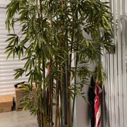 6ft Tall Bamboo Tree Plant Faux