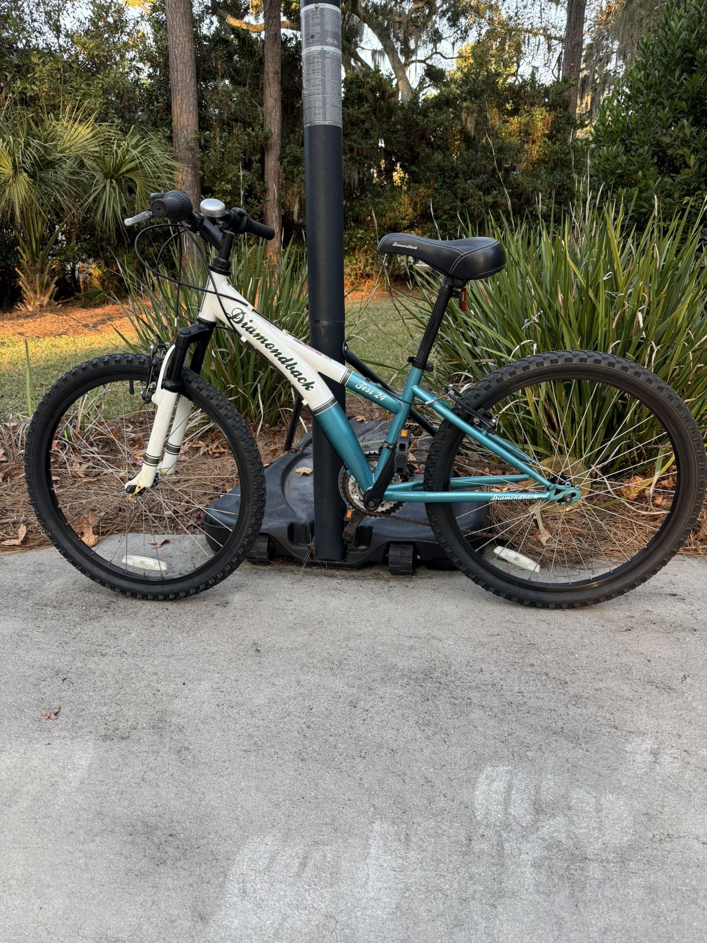 Girls 24” Diamond back “Tess” mountain bike