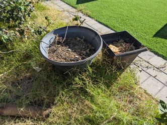 Garden pots