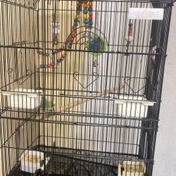 Free Cage And Food