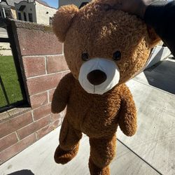 4ft Teddy Bear (New)