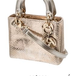Christian Dior snakeskin lady Dior