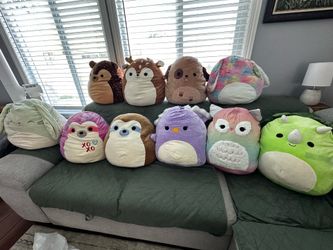 Assorted Medium Squishmallows