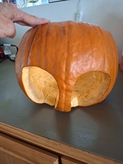Free pumpkin baby photos