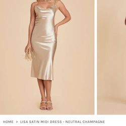 Birdy Grey Neutral Champagne Bridesmaid Dress 