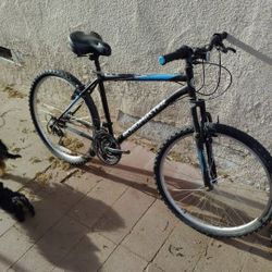 Roadmaster Bike