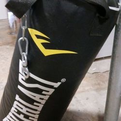 Everlast Boxing Bag