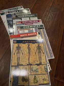 Quick Study Academic 