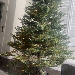 Christmas Tree $60